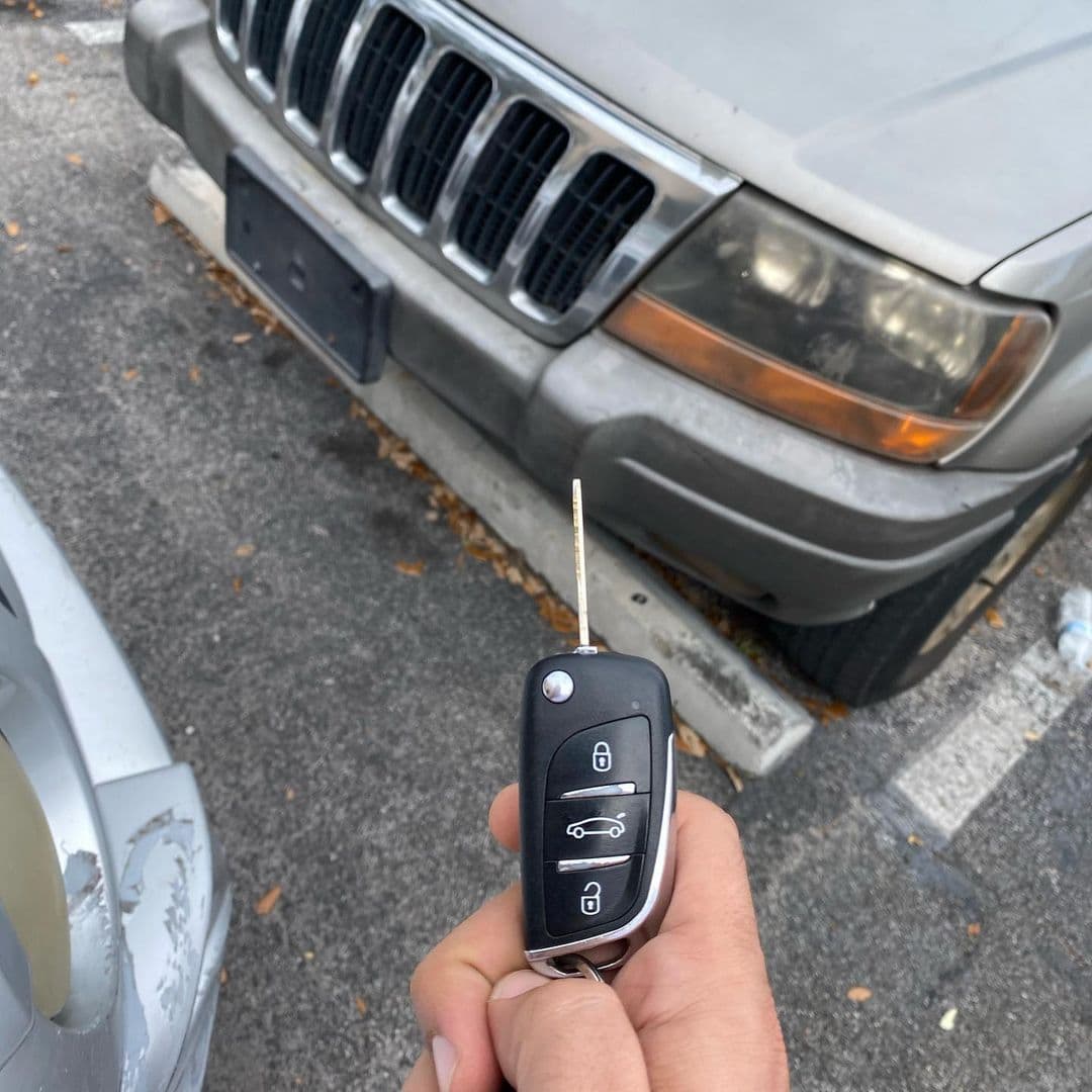 Picture from the gallery