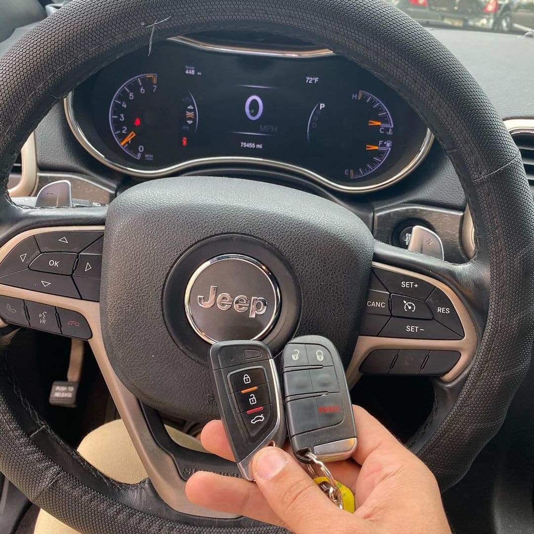 Picture from the gallery